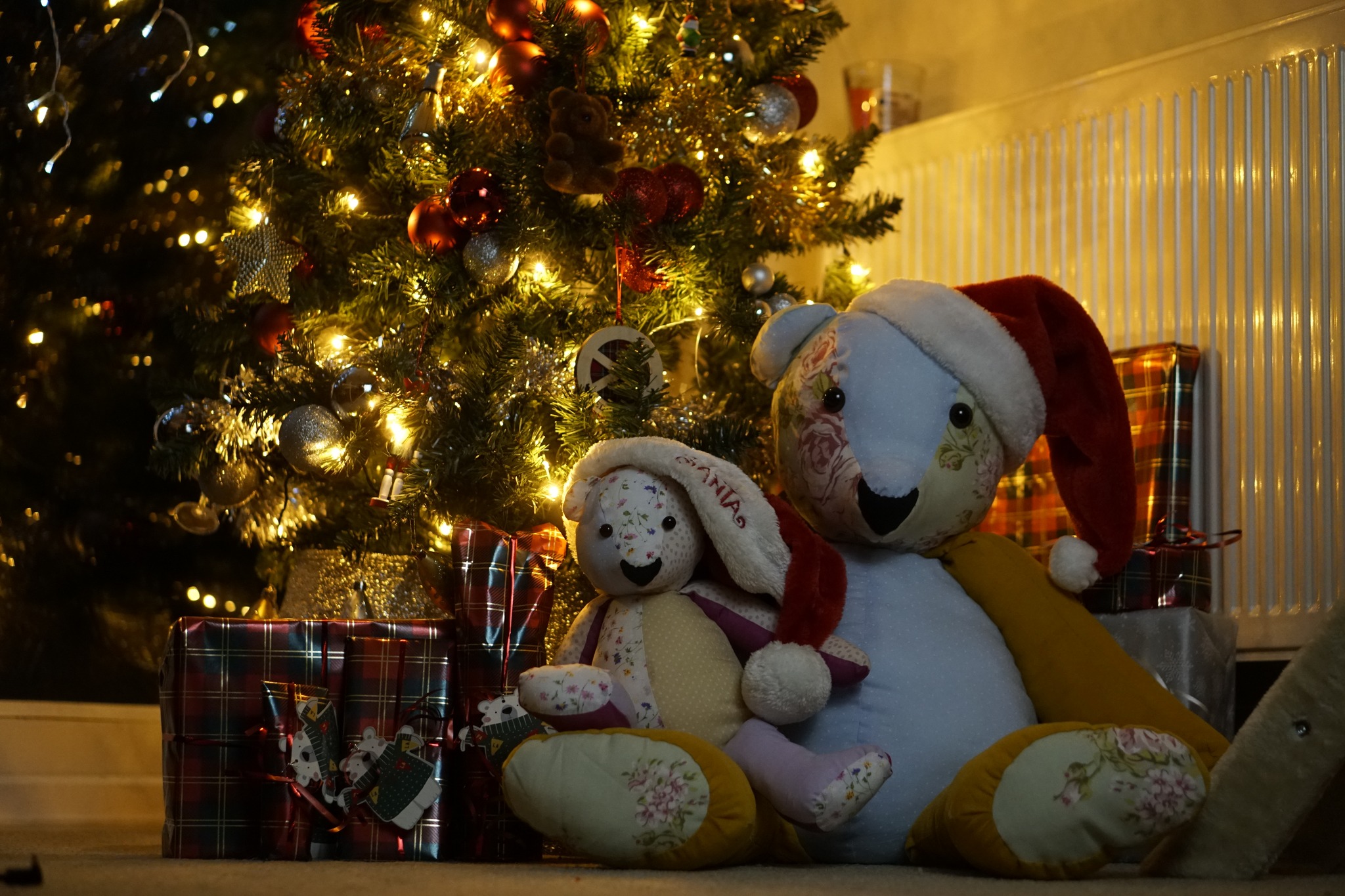 Memory Bear - Image 8